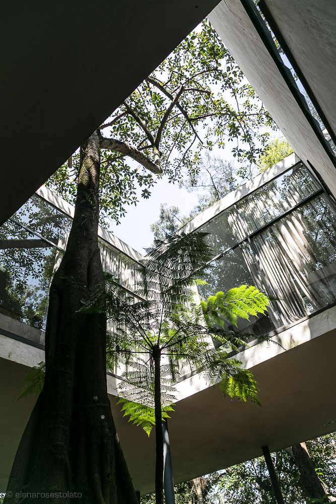 Casa de Vidro, Lina Bo Bardi — image 3